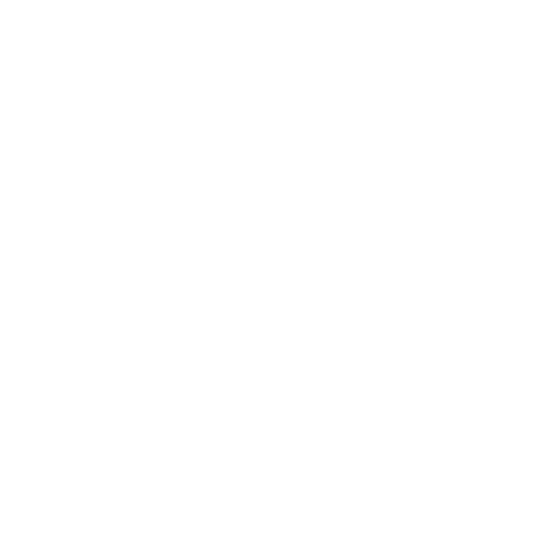 customer (1)